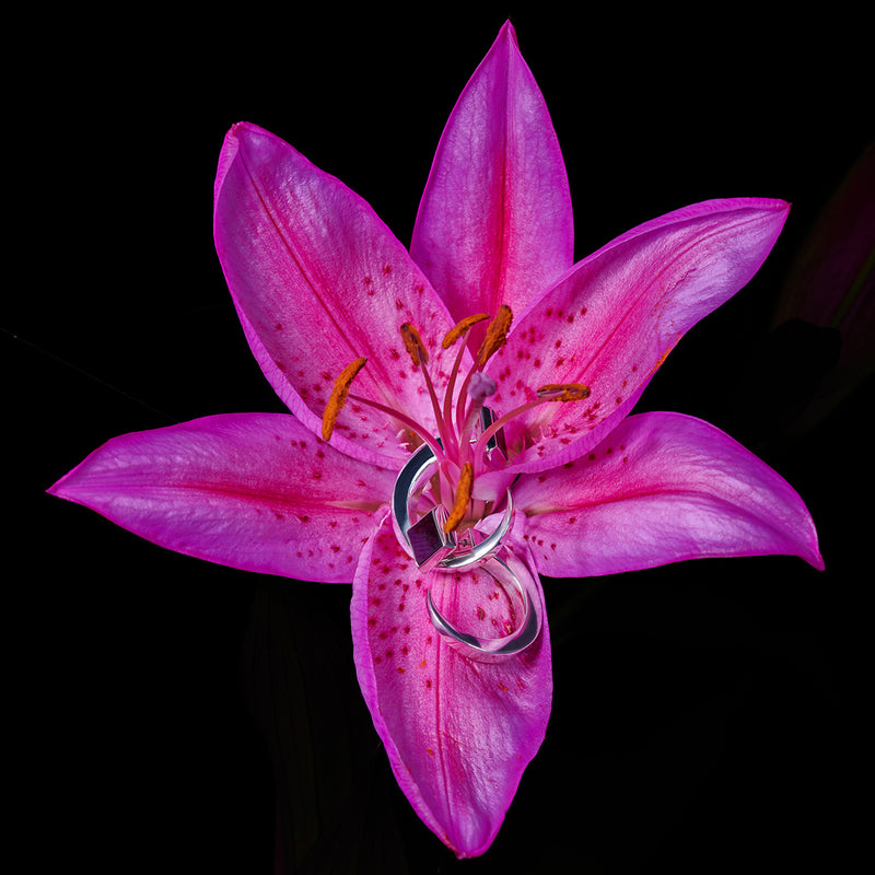 AMAZON HOOPS SILVER WITH ONYX