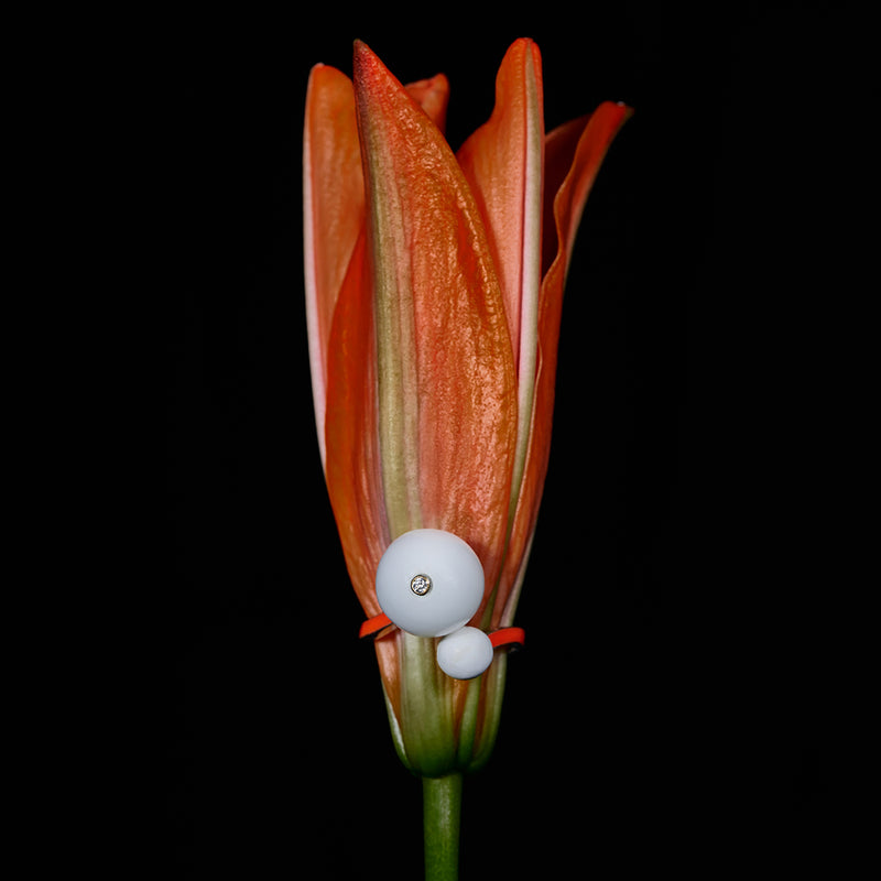 ECO-FINE BUBBLE RING